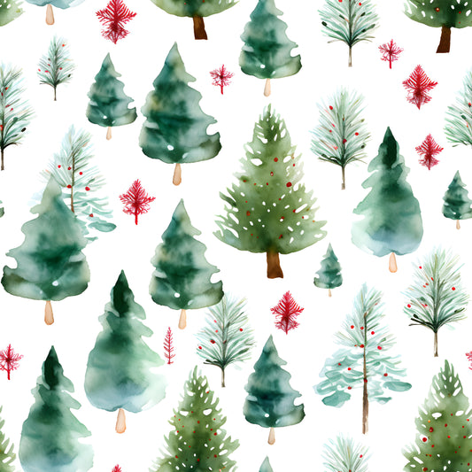 BIO Jersey Tannenbaum 0.5m