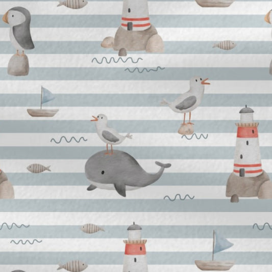 Softshell Wal maritim   0,5m