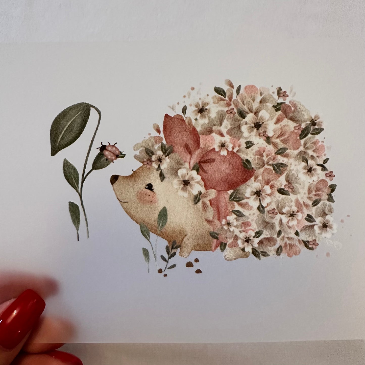 bügelbild mädchen igel