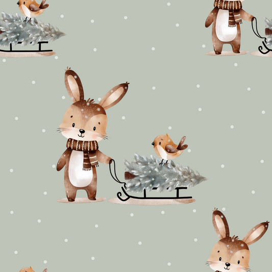 BIO Jersey Schlitten Hase   0.5m