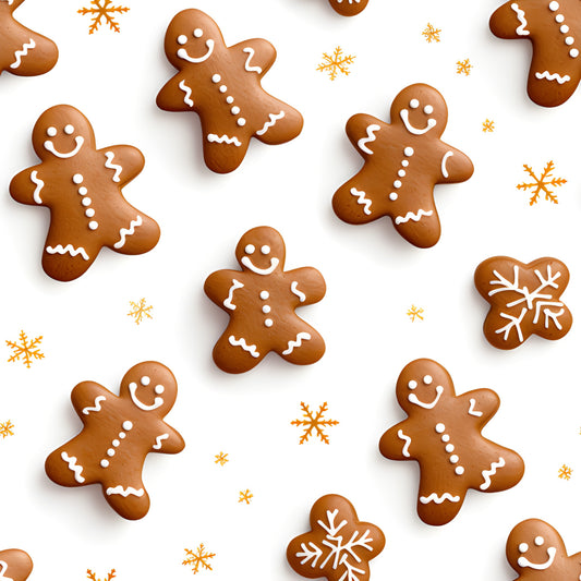 BIO Jersey Lebkuchen   0.5m