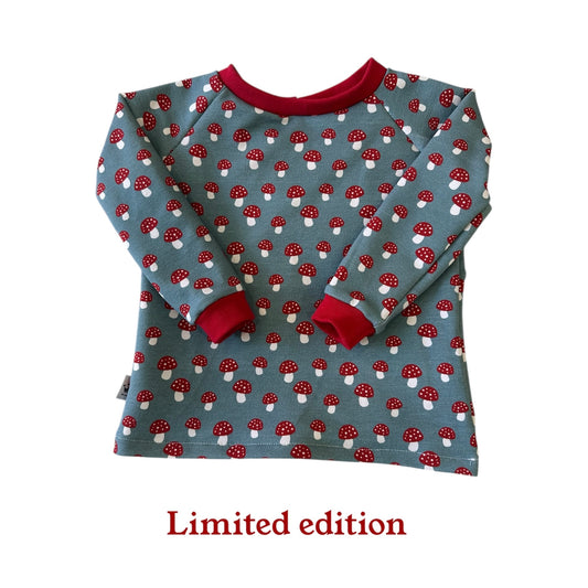 Pullover Fliegenpliz