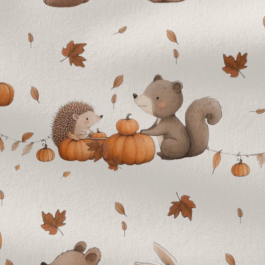 Softshell Kürbis im Wald     0,5m