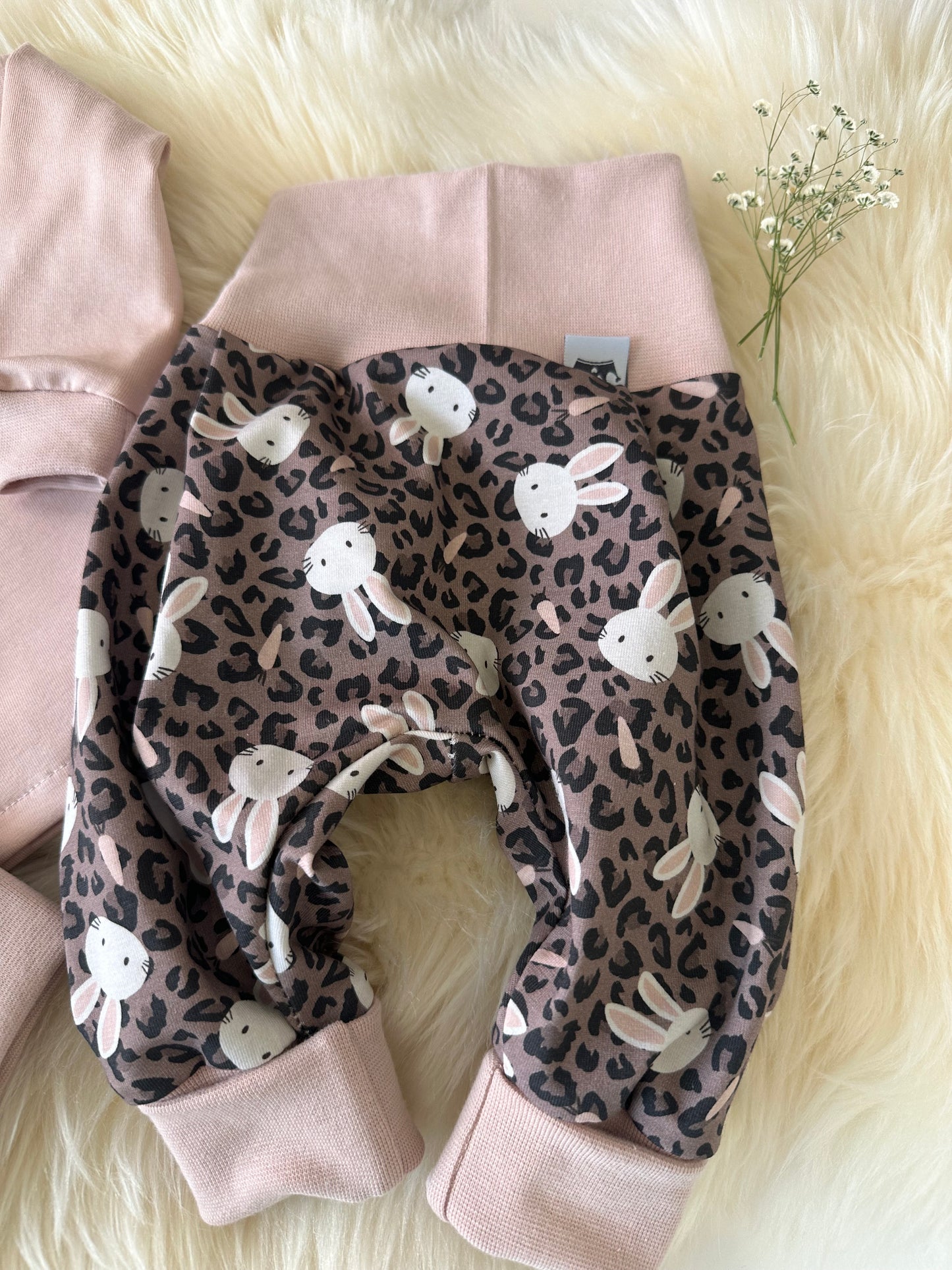 Spar Set Leo Hase