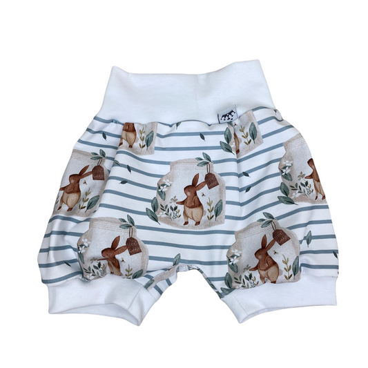 Pumpshorts hase 