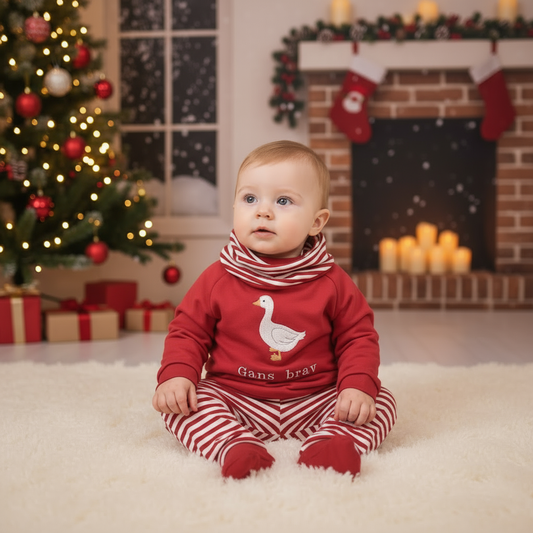 Xmas Kollektion Spar Set Gans brav