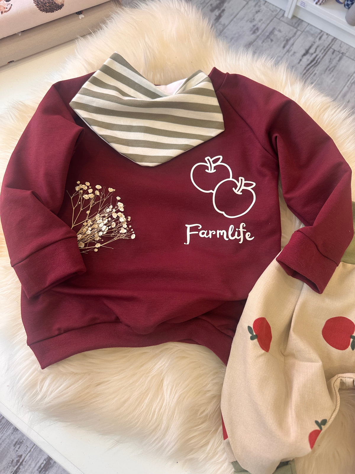 Pullover Apfel