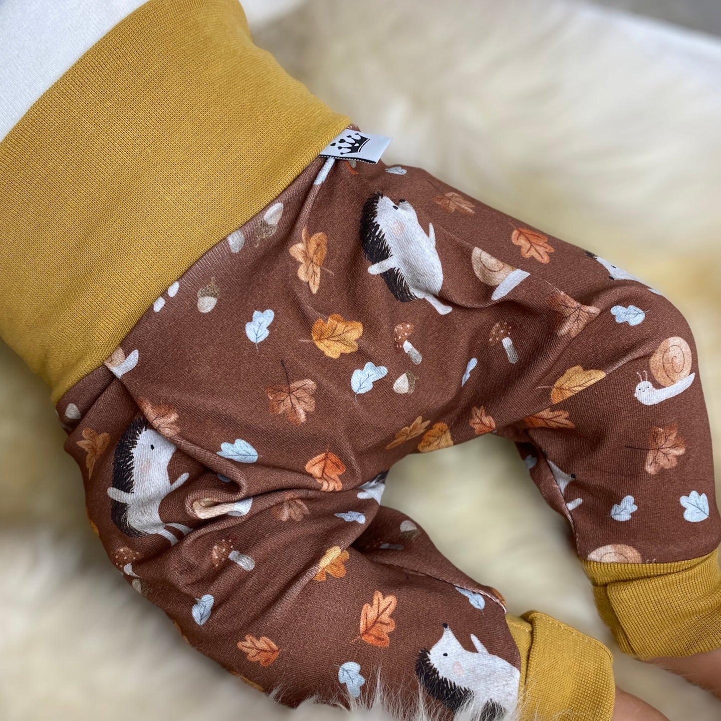Baby set leaves hedgehog